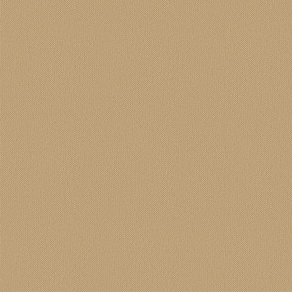 Actual product image Clinique Almost Powder (06 Deep)