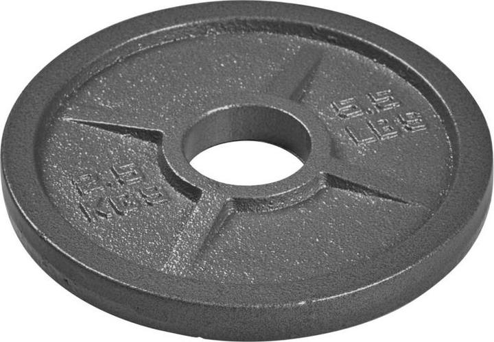 Actual product image Tanga Sports ® Hantelscheibe Guss