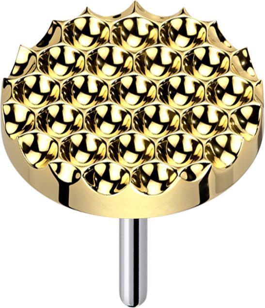 Image du produit Star Piercing Threadless pointillé de diamant disque plaqué or (sans laiton, Titane)
