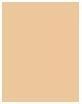 Actual product image Sensai Total Finish (Refill) (TF203 Natural Beige)