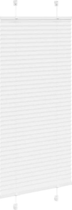 Produktbild vidaXL Plissee (60 x 100 cm)