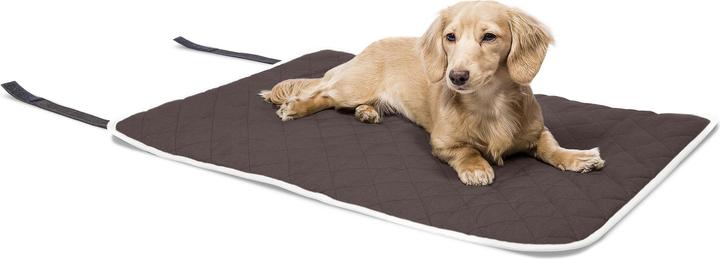 Dog Carpet Dog Gone Smart Grey 89 x 66 cm main image 1