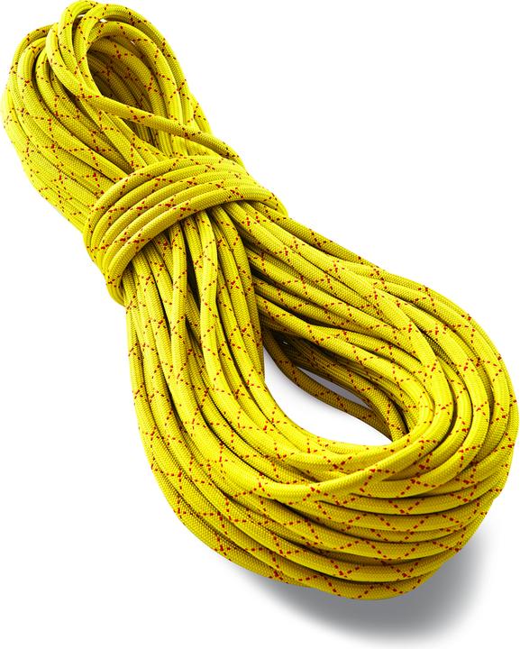 Tendon Corde statique SALAMANDER 102 (30 m)