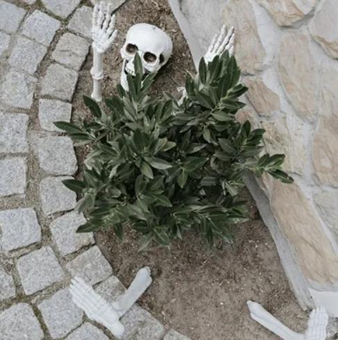 Actual product image Partydeco Halloweenfigur Skelett 5-teilig (1 pcs.)