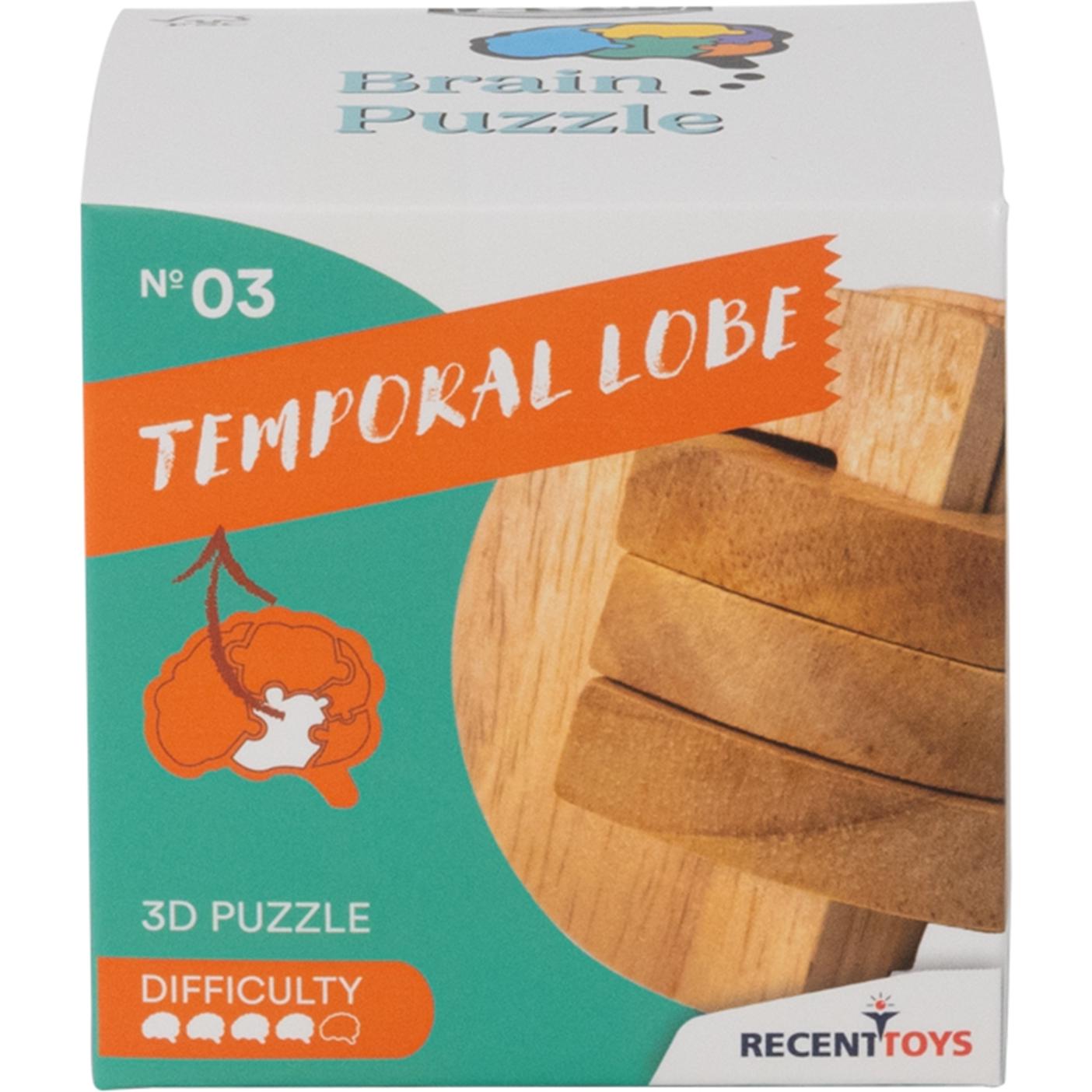 Thumbnail - Recent Toys Brain Puzzle Nr.3 Temporal Lobe (Deutsch)