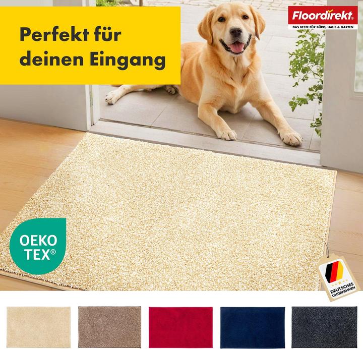 Produktbild Floordirekt Schmutzfangmatte Nasa (86 x 150 cm)
