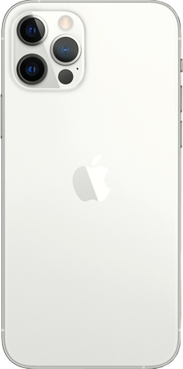 Actual product image Forza Refurbished iPhone 12 Pro (256 GB, Silver, 6.10", 12 Mpx, Dual SIM, B / Very good)