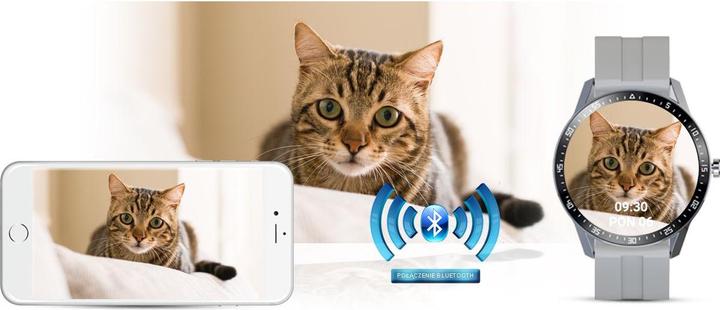 Actual product image Gino Rossi SW018-2, grey colour (45 mm)