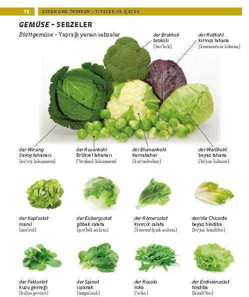 Actual product image PONS Bildwörterbuch Türkisch (German, Turkish, 2025)