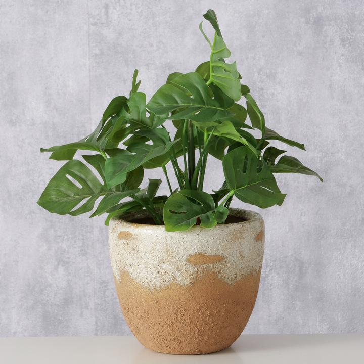 Produktbild Boltze Home Palona (18 x 16 cm)