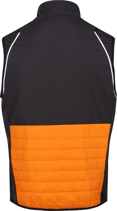 Produktbild Regatta Steren Hybrid Softshelljacke (S)