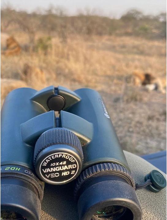 Produktbild Vanguard VEO HD2 1042 (10x, 42 mm)