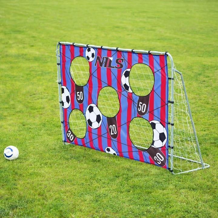 Actual product image Nils NT7788 2in1 GATE WITH SCREEN AND TARGET DISC 215x150cm