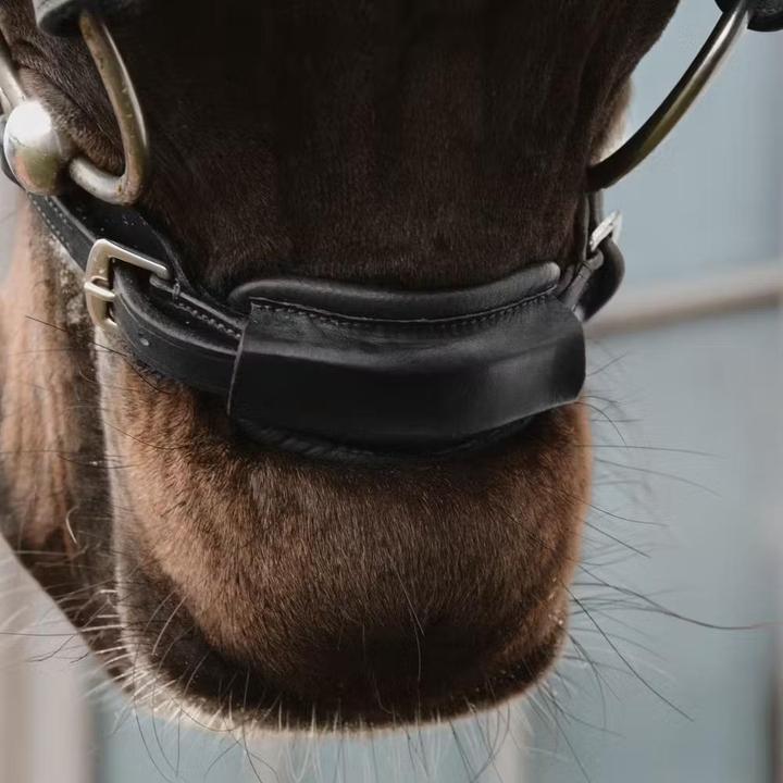 Image du produit Dy'on NE coll 1/2"