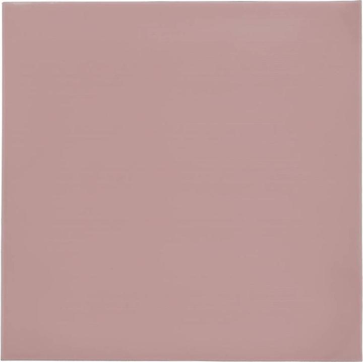 Immagine prodotto Thermal Grizzly Minus Pad 8 - 100 x 100 x 1,0 mm, 2 Stück (1 mm)