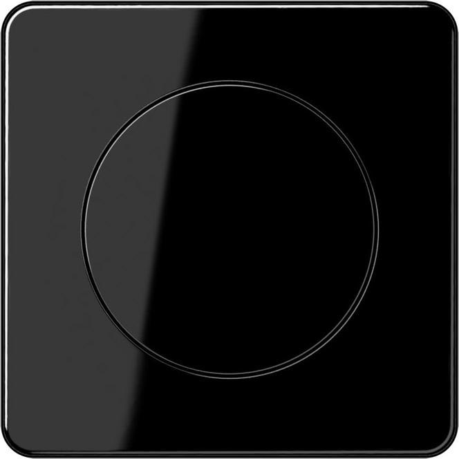 Actual product image JUNG Cover