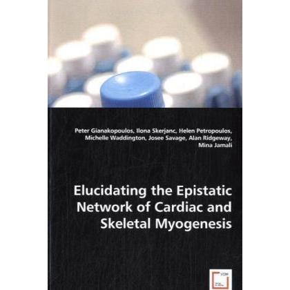 Elucidating the Epistatic Network of Cardiac and Skeletal Myogenesis, Fachbücher