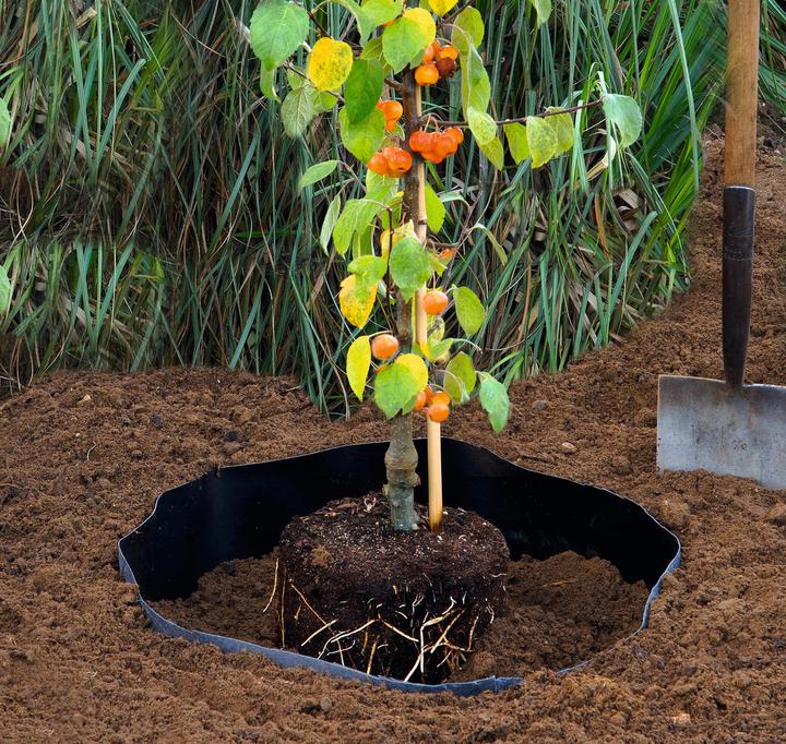 Produktbild Siena Garden Unkrautschutz