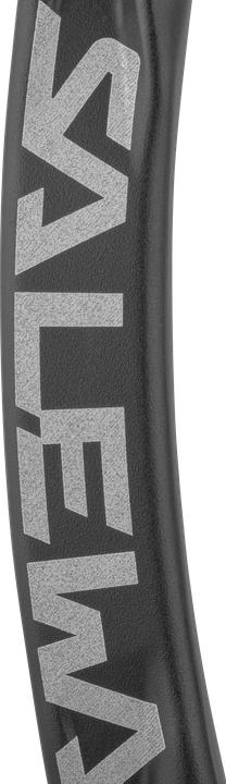 Produktbild Salewa Ortles Straight Carabiner