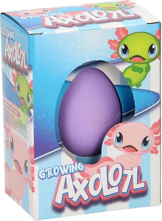 Image du produit Roost Ei mit wachsendem Axolotl