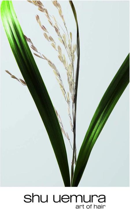 Produktbild Shu Uemura Ultimate Reset Shampoo (300 ml, Flüssiges Shampoo)