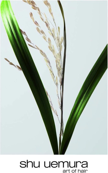 Image du produit Shu Uemura Shampooing Ultimate Reset (300 ml, Shampoing liquide)