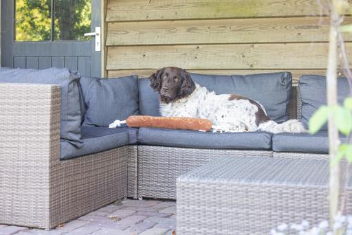 Immagine prodotto Beeztees Grillwurst + Seil (Cane giocattolo da tiro)