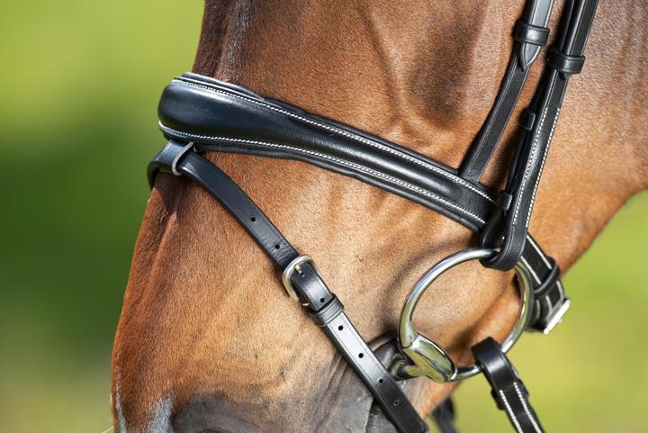 Immagine prodotto HFI Master Technical