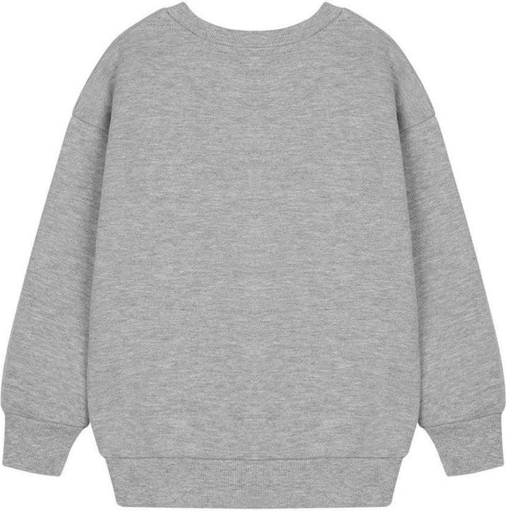 Produktbild Paw Patrol Sweatshirt (116)