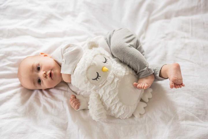 Immagine prodotto Teddykompaniet Cuscino termico gufo bianco con pelliccia ondulata 35 cm (35 cm)