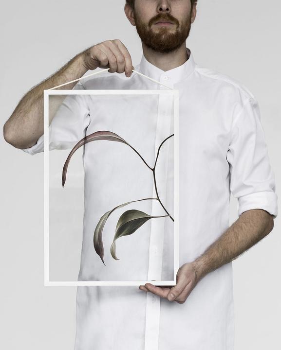 Image du produit Moebe Cadre (21 x 30 cm)