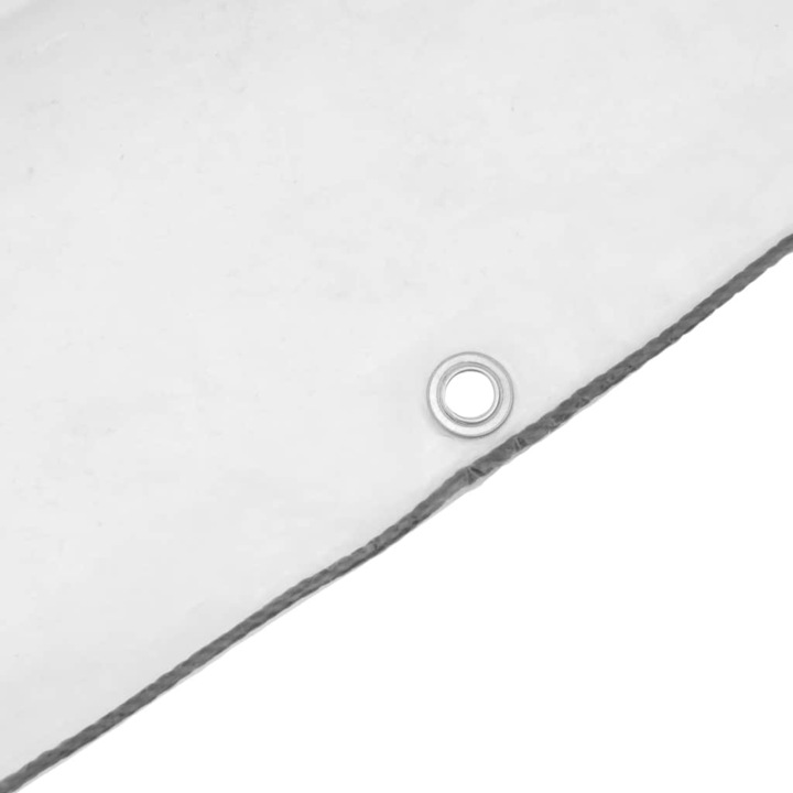 Productafbeelding VidaXL Transparant dekzeil met ogen 5x10 m polyethyleen transparant dekzeil (500 x 1000 cm)