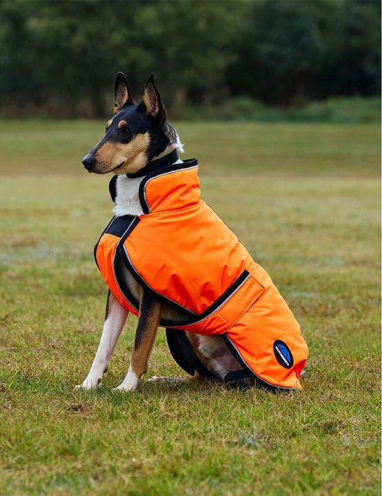 Produktbild Weatherbeeta Comfitec Reflective Deluxe 300D (Hundemantel)