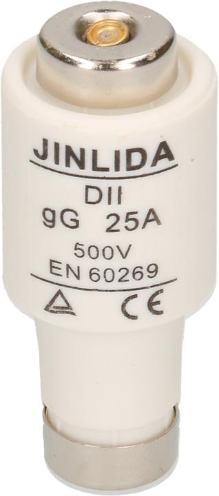 Immagine prodotto Max Hauri Fusibile (25 A)