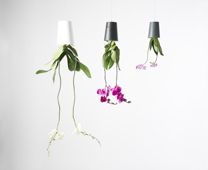 Actual product image boskke Sky Planter (9.50 cm)