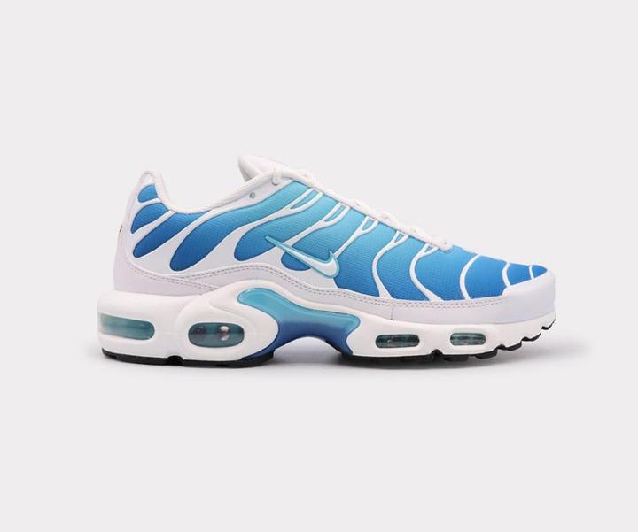 Image du produit Nike Air Max Plus (47.5)