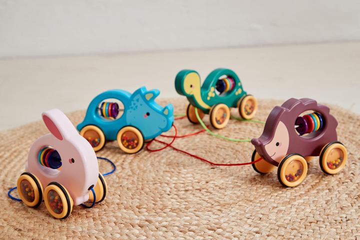 Actual product image Scandinavian Baby Products Pull-along dinosaur