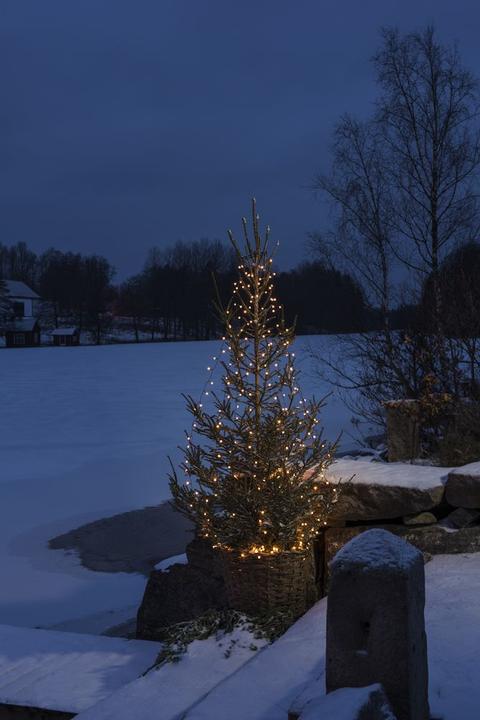 Image du produit Konstsmide Veste d'arbre LED (5.60 m)