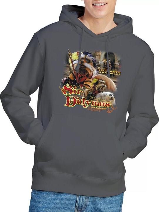 Produktbild Kapuzenpullover (XL)