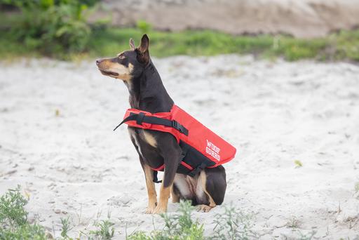 Produktbild Beeztees Sicherheits-Schwimmweste (36, Hundeschwimmweste)