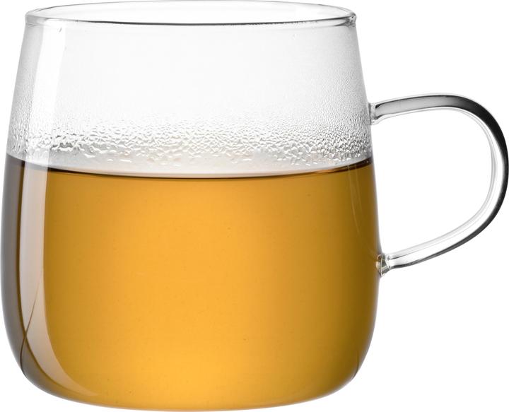 Immagine prodotto Leonardo Tè per te (570 ml, 1 x)