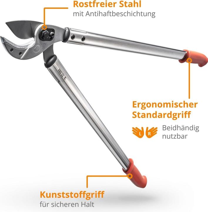Produktbild Löwe 22 Profi Amboss 80 cm