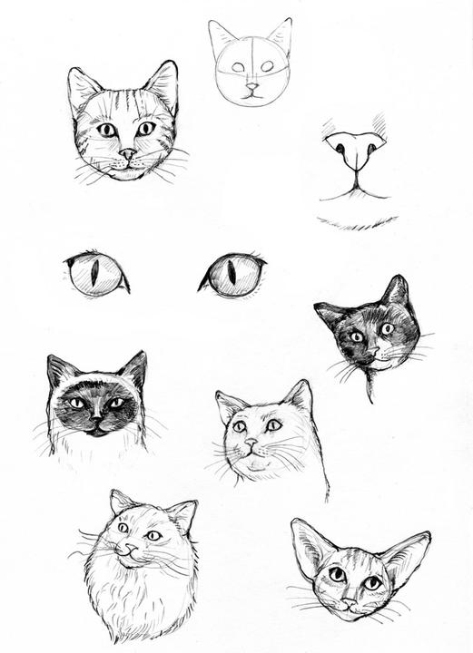 Image du produit Simon:Die grosse Zeichenbibliothek (Allemand, Dorina Tessmann, Melinda Simon, Sergueï Chakhov, 2024)