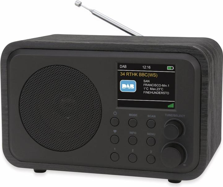 DR 300-20 Tischradio DAB+, UKW Bluetooth®, DAB+, UKW wiederaufladbar Schwarz (DAB+, FM, Bluetooth)