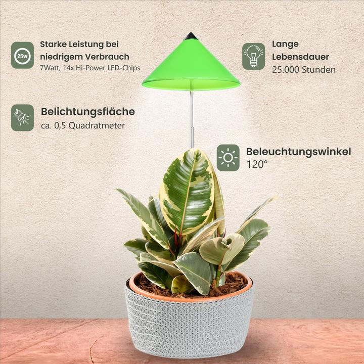 Actual product image Colibri Sunlite (LED, 230 V)