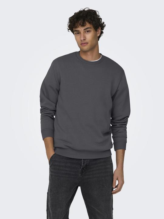Image du produit Only & Sons Onsceres Crew Neck Noos (XS)