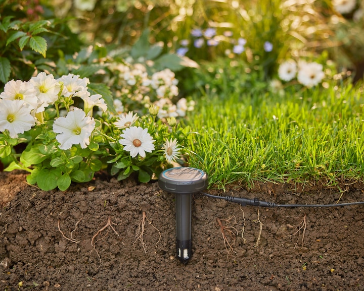 Image du produit Gardena Capteur d'humidité du sol (Sonde d'irrigation)
