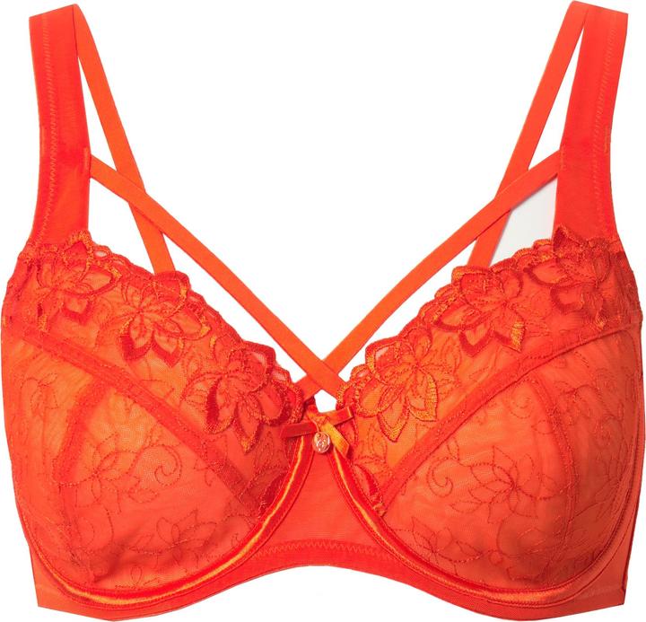 Produktbild TruYou Bügel-BH, transparente Spitze, Cup C - F (105 G)