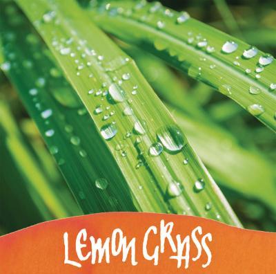 Produktbild Online Tintenglas 15ml Duftend (Orange, 1 Stk.)