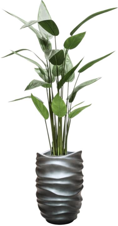 Image du produit Emerald Bara (125 cm)